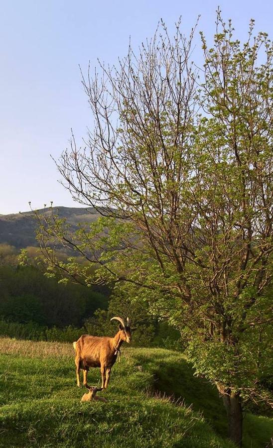 Agriturismo Grilla Villa Mele Exterior foto