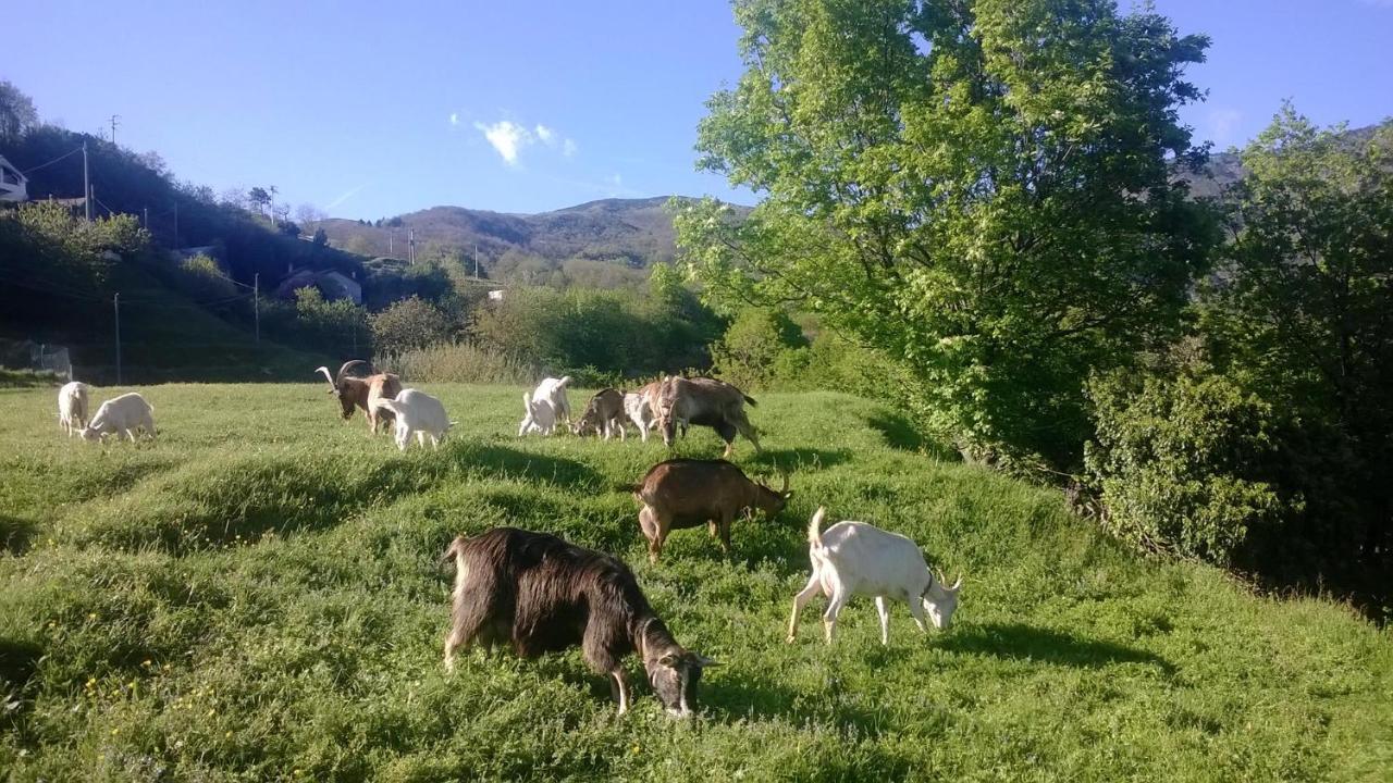 Agriturismo Grilla Villa Mele Habitación foto